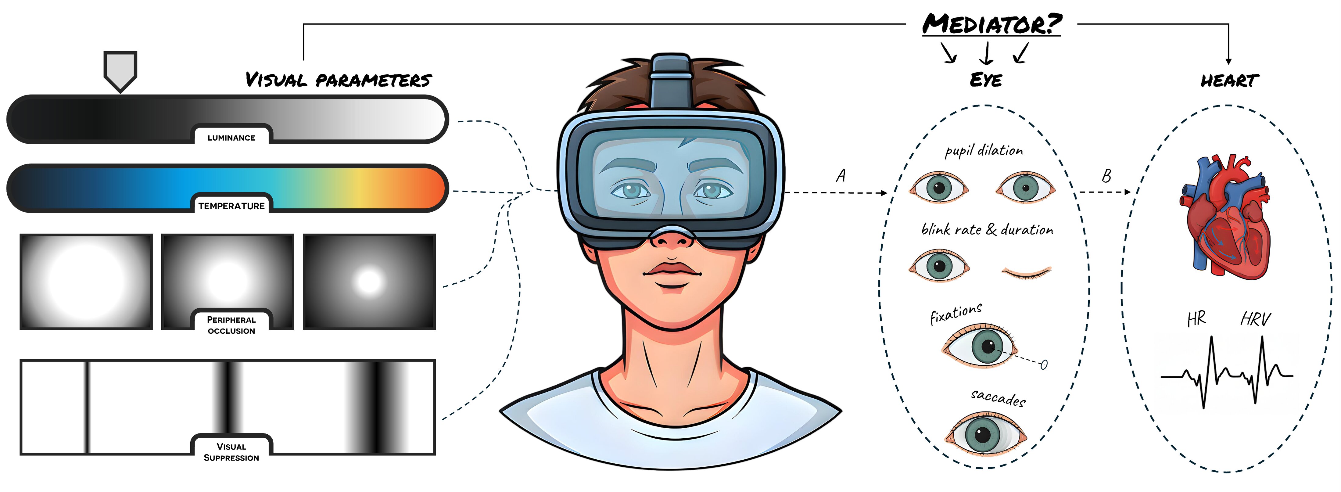Conceptual framework linking VR visual parameters, eye metrics, and cardiovascular responses
